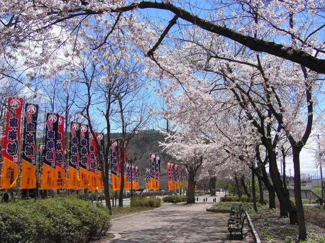 🏞️ 키미마치자카 현립 자연공원(키미마치자카 켄리츠 시젠 코엔) 이미지 9